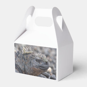Marine Iguana Geschenkschachtel