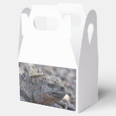 Marine Iguana Geschenkschachtel (Geöffnet)