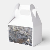 Marine Iguana Geschenkschachtel (Vorderseite)