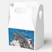 Marine Iguana Geschenkschachtel (Geöffnet)
