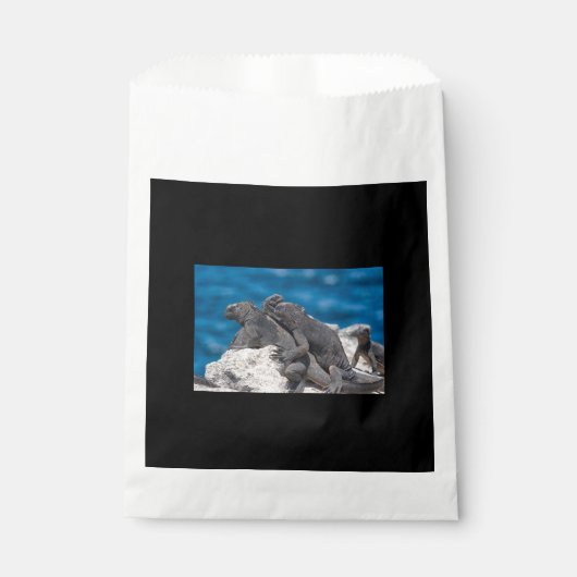 Marine Iguana Geschenktütchen (Vorderseite)
