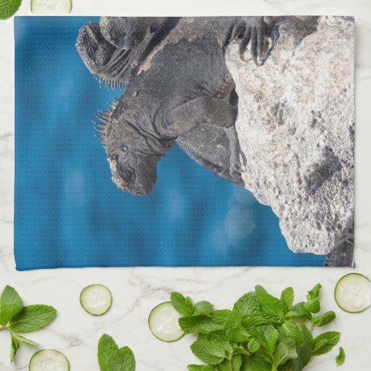 Marine Iguana Geschirrtuch (Gefaltet)