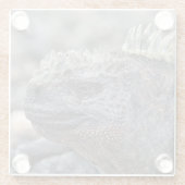 Marine Iguana Glasuntersetzer (Rückseite)