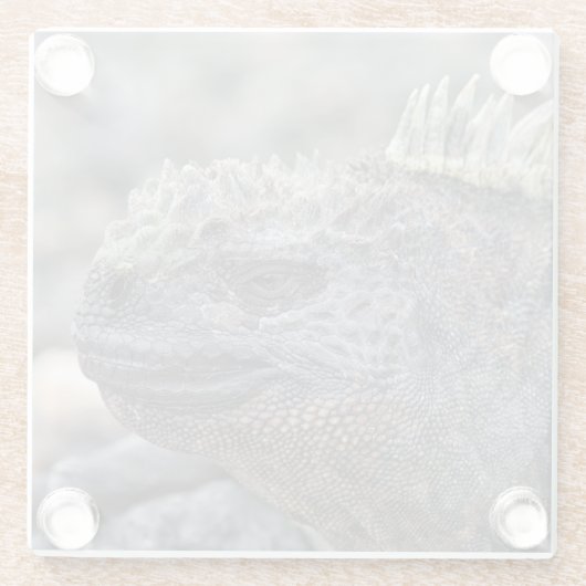 Marine Iguana Glasuntersetzer (Rückseite)
