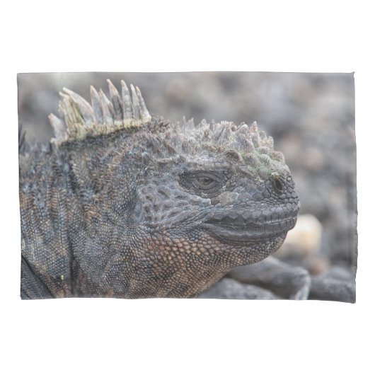 Marine Iguana Kissenbezug (Vorderseite)