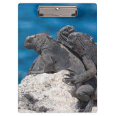 Marine Iguana Klemmbrett (Vorderseite)