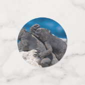 Marine Iguana Konfetti (Klein Vorderseite)