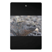 Marine Iguana Mini Klemmbrett (Rückseite)