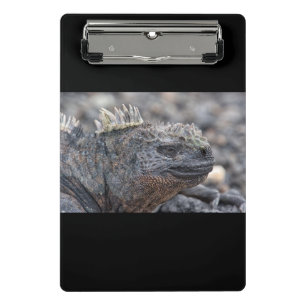 Marine Iguana Mini Klemmbrett