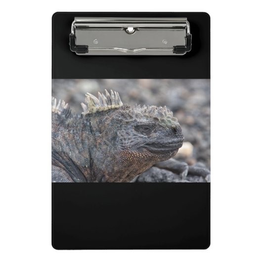 Marine Iguana Mini Klemmbrett (Vorderseite)
