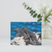 Marine Iguana Postkarte (Stehend Vorderseite)