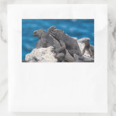Marine Iguana Rechteckiger Aufkleber (Tasche)