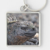 Marine Iguana Schlüsselanhänger (Vorne)