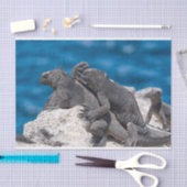 Marine Iguana Seidenpapier (Handwerk)