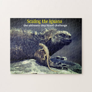 Marine Iguana und Lava Lizard Puzzle