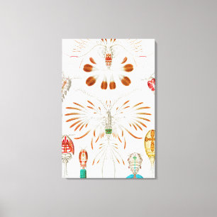 Marine Life Crustaceans, Copepoda von Ernst Haecke Leinwanddruck