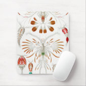 Marine Life Crustaceans, Copepoda von Ernst Haecke Mousepad (Mit Mouse)