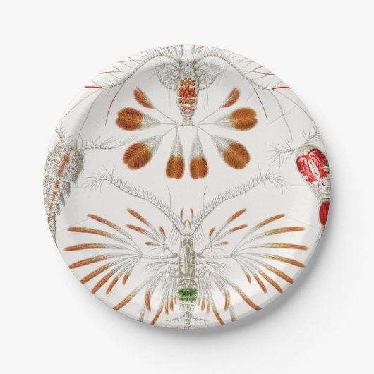 Marine Life Crustaceans, Copepoda von Ernst Haecke Pappteller (Vorderseite)