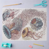 Marine Life Jellyfish - Ernst Haeckel Decoupage Seidenpapier (Basteln)