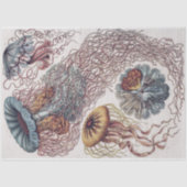 Marine Life Jellyfish - Ernst Haeckel Decoupage Seidenpapier (Vorderseite)