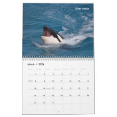 Marine mammals calendar kalender (Mär 2026)