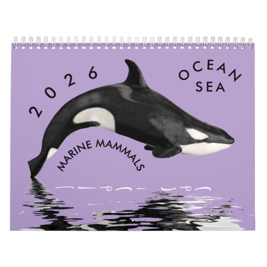 Marine mammals calendar kalender (Titelbild)