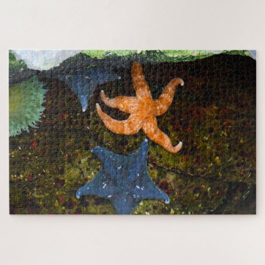 Marine Star Fisch. Puzzle (Horizontal)