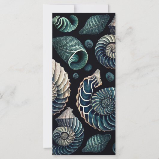 Marine Treasures (Vorderseite)