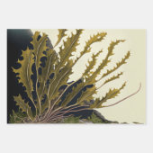 Marine Treasures Geschenkpapier Set (Vorderseite 3)