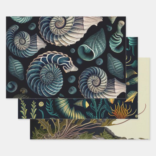 Marine Treasures Geschenkpapier Set (Set)
