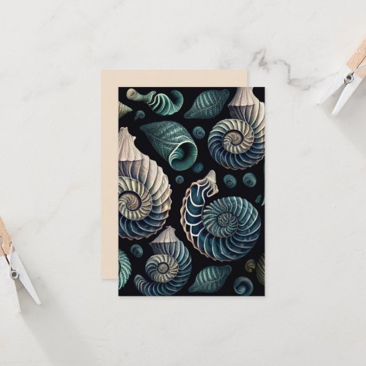 Marine Treasures Karte (Vorderseite/Rückseite Beispiel)