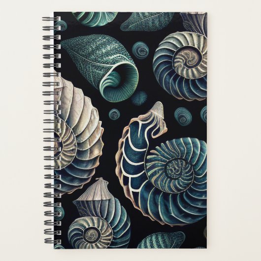 Marine Treasures Planer (Vorderseite)