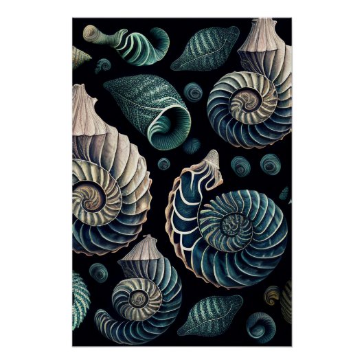 Marine Treasures Poster (Vorderseite)