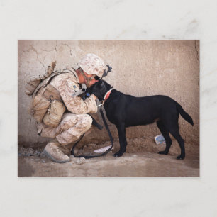 Marine und sein Hund Postkarte