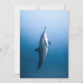 Marine unter dem Brautparty der Dolphin Coastal Einladung (Rückseite)