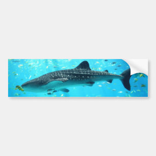 Marine Water Chic Stilvoll Cooler Blauwal-Hai Autoaufkleber