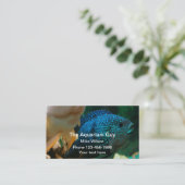 Marineaquarium-Service-Jack Dempsey Visitenkarte (Stehend Vorderseite)