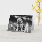 Marineinfanteriekorps Maskottchen, Zwanzigerjahre Karte (Gelbe Blume)