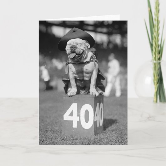 Marineinfanteriekorps Maskottchen, Zwanzigerjahre Karte (Vorderseite)