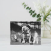 Marinekorps Mascot, 1920er Postkarte (Stehend Vorderseite)