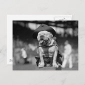 Marinekorps Mascot, 1920er Postkarte (Vorne/Hinten)