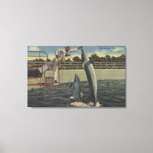 Marineland, Florida - Ansicht des Fütterns der Leinwanddruck