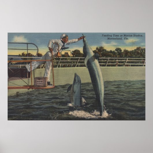 Marineland, Florida - Aussicht auf Fütternd Schwei Poster (Vorne)