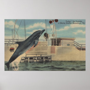 Marineland, Florida - Blick auf Pudgy, die Poster