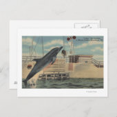 Marineland, Florida - Blick auf Pudgy, die Postkarte (Vorne/Hinten)