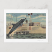 Marineland, Florida - Blick auf Pudgy, die Postkarte (Vorderseite)