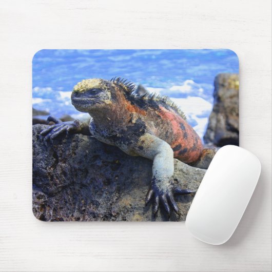 Marineleguan Mousepad (Mit Mouse)
