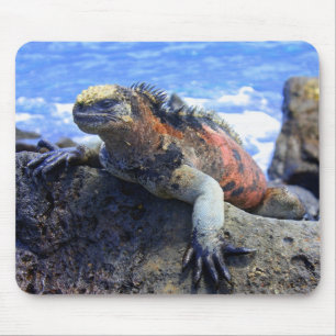 Marineleguan Mousepad