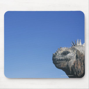 Marineleguan Mousepad