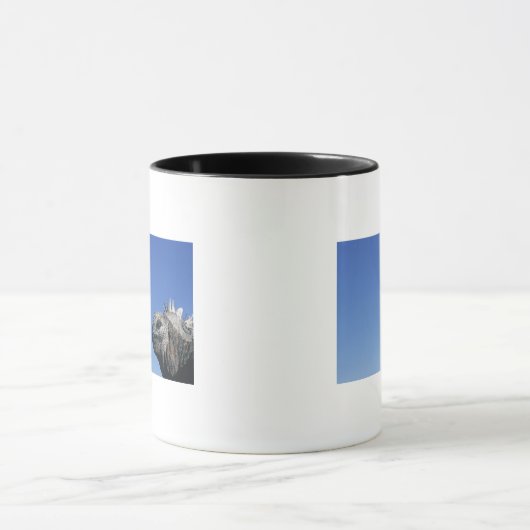 Marineleguan Tasse (Zentrum)